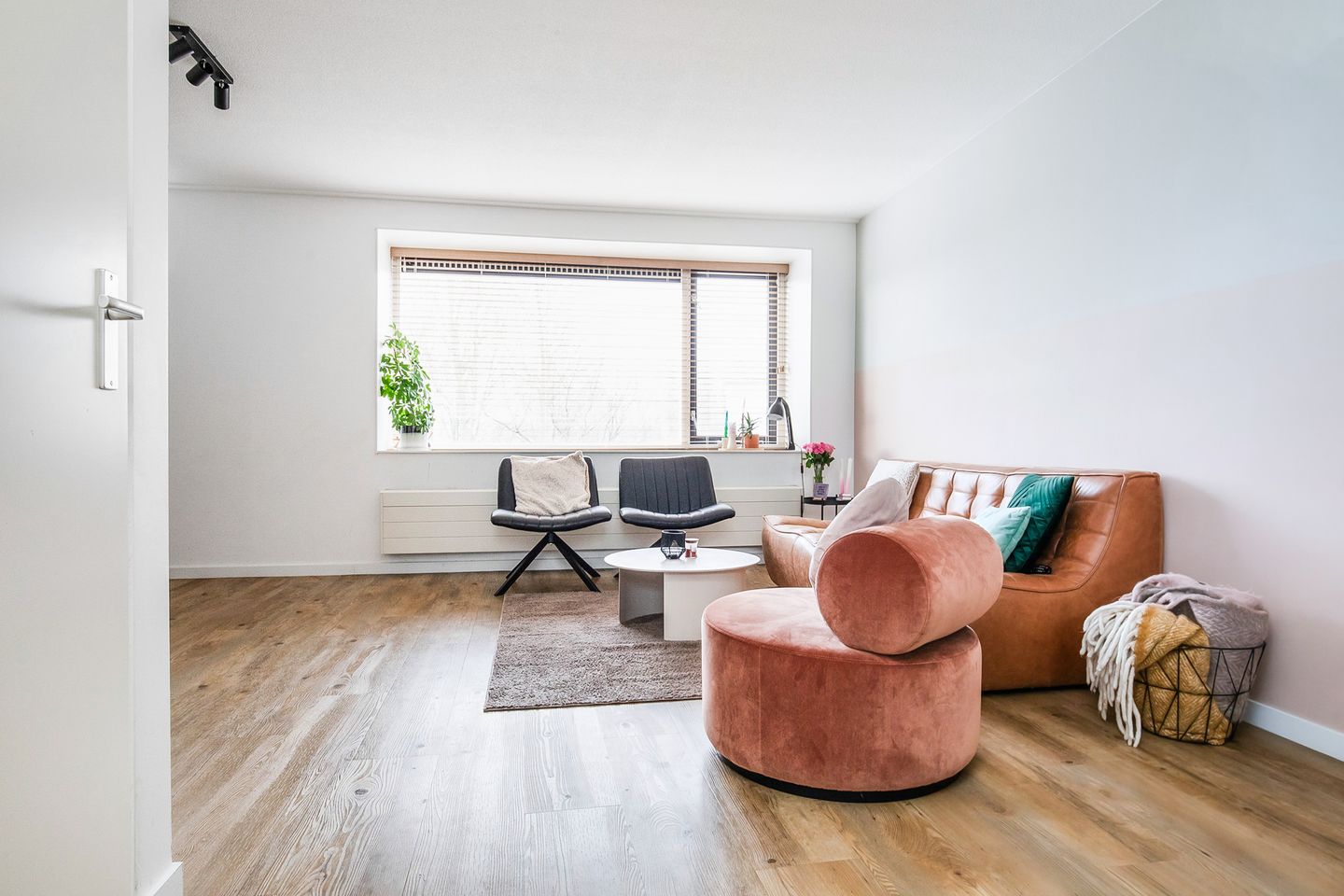 Foto 19 van Zomerpark 50