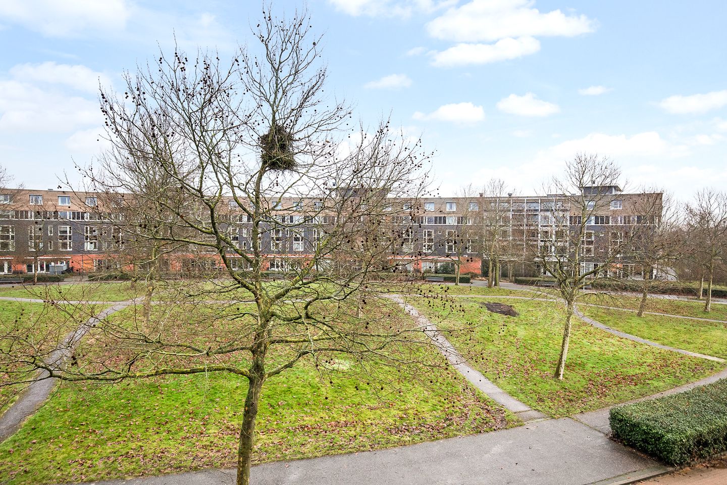 Foto 34 van Zomerpark 50