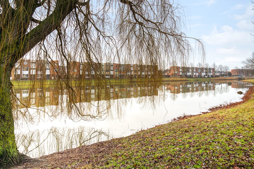 Foto 46 van Zomerpark 50