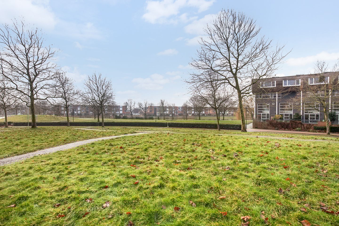 Foto 49 van Zomerpark 50