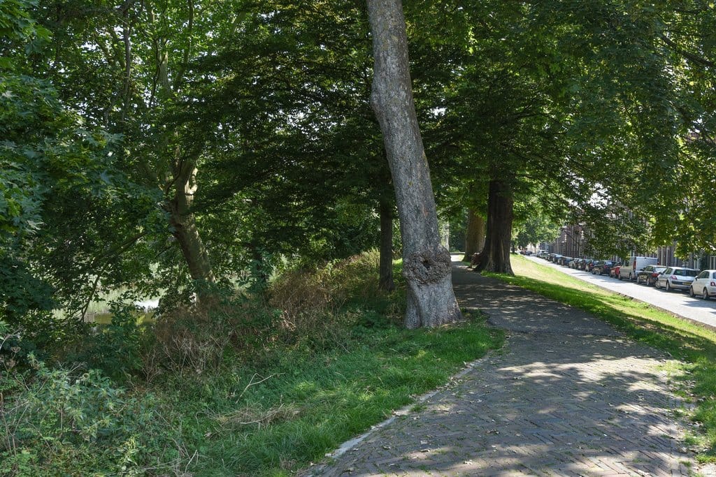 Foto 20 van Achterstraat 49