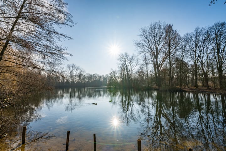 Foto 48 van de Jongstraat 154