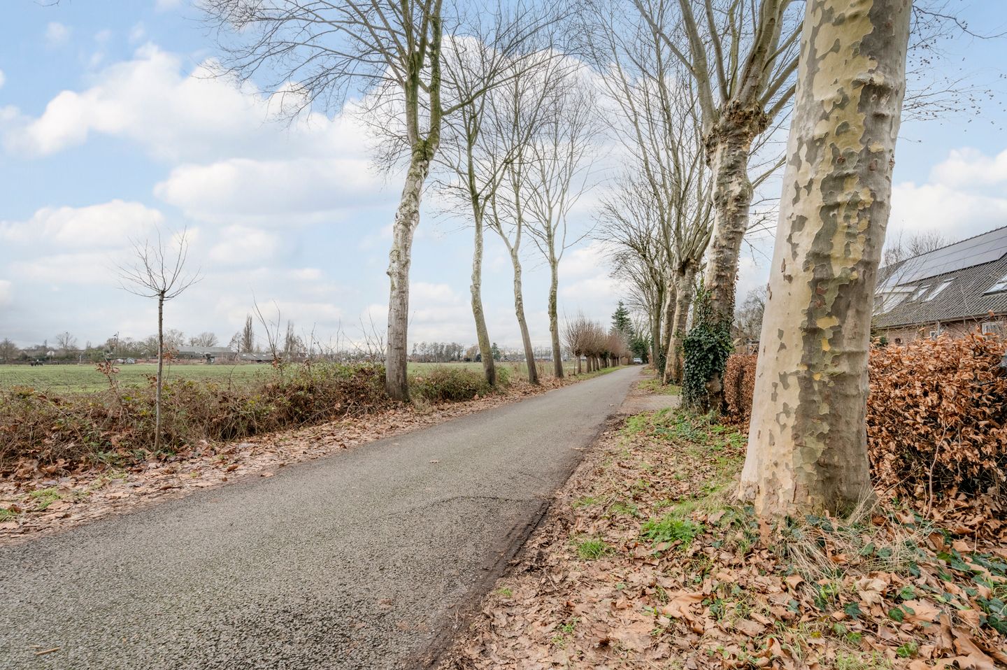 Photo 65 of Schansoord 1-A