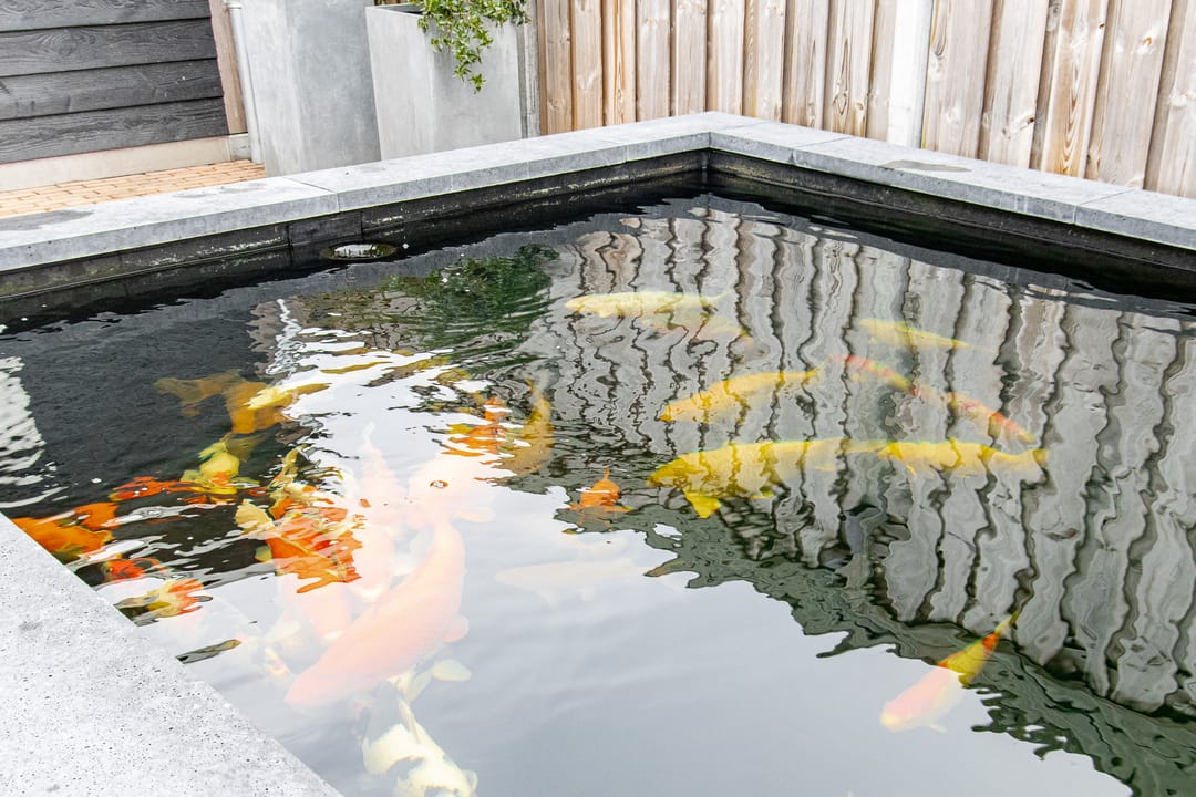 Foto 52 van De Koeldert 8