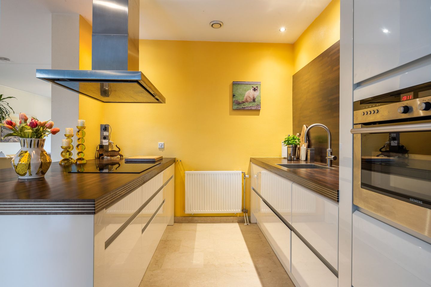 Foto 34 van Bisschop van Mierlostraat 162