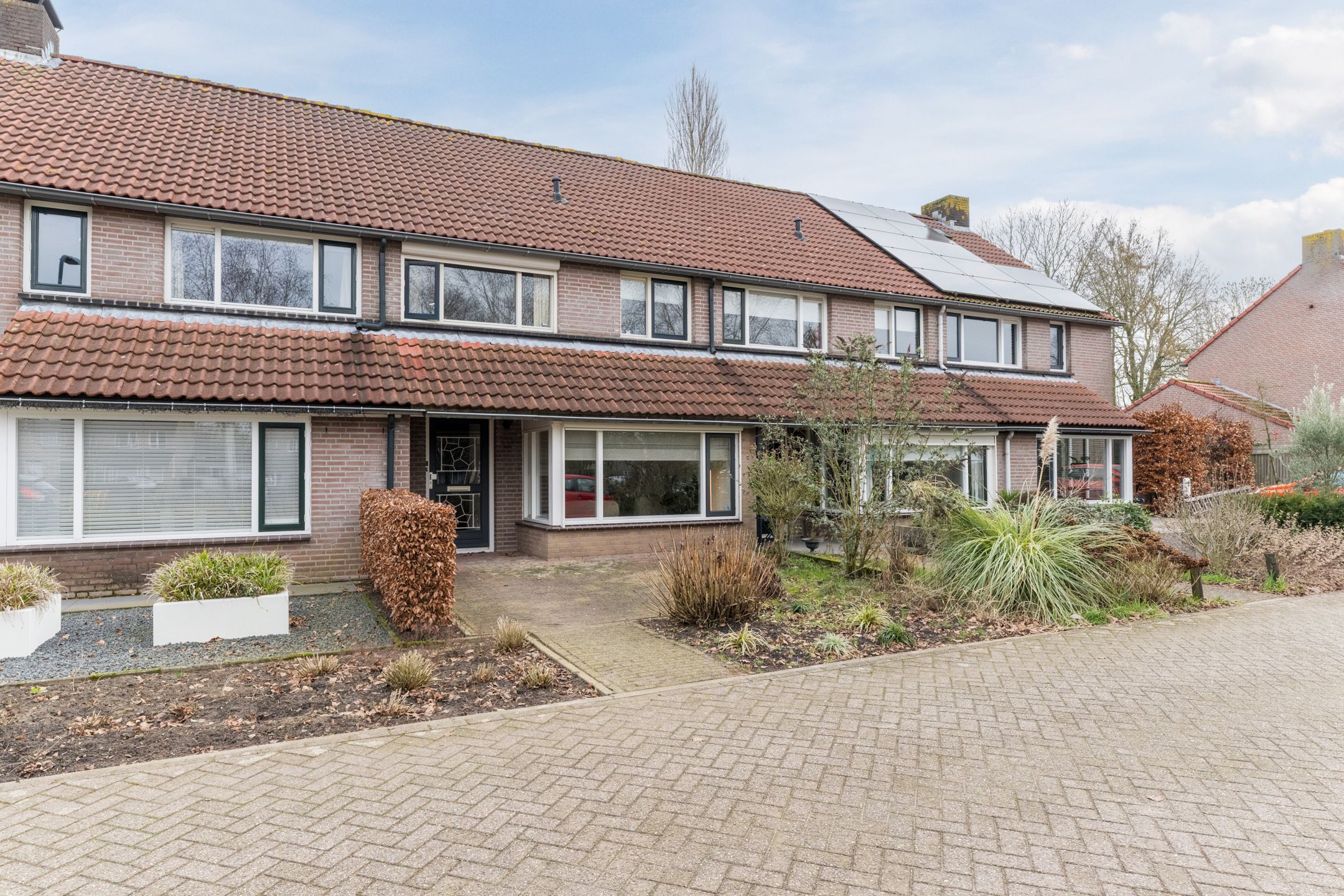 Foto 6 van Goudplevier 25