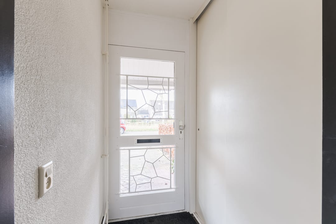 Foto 7 van Goudplevier 25