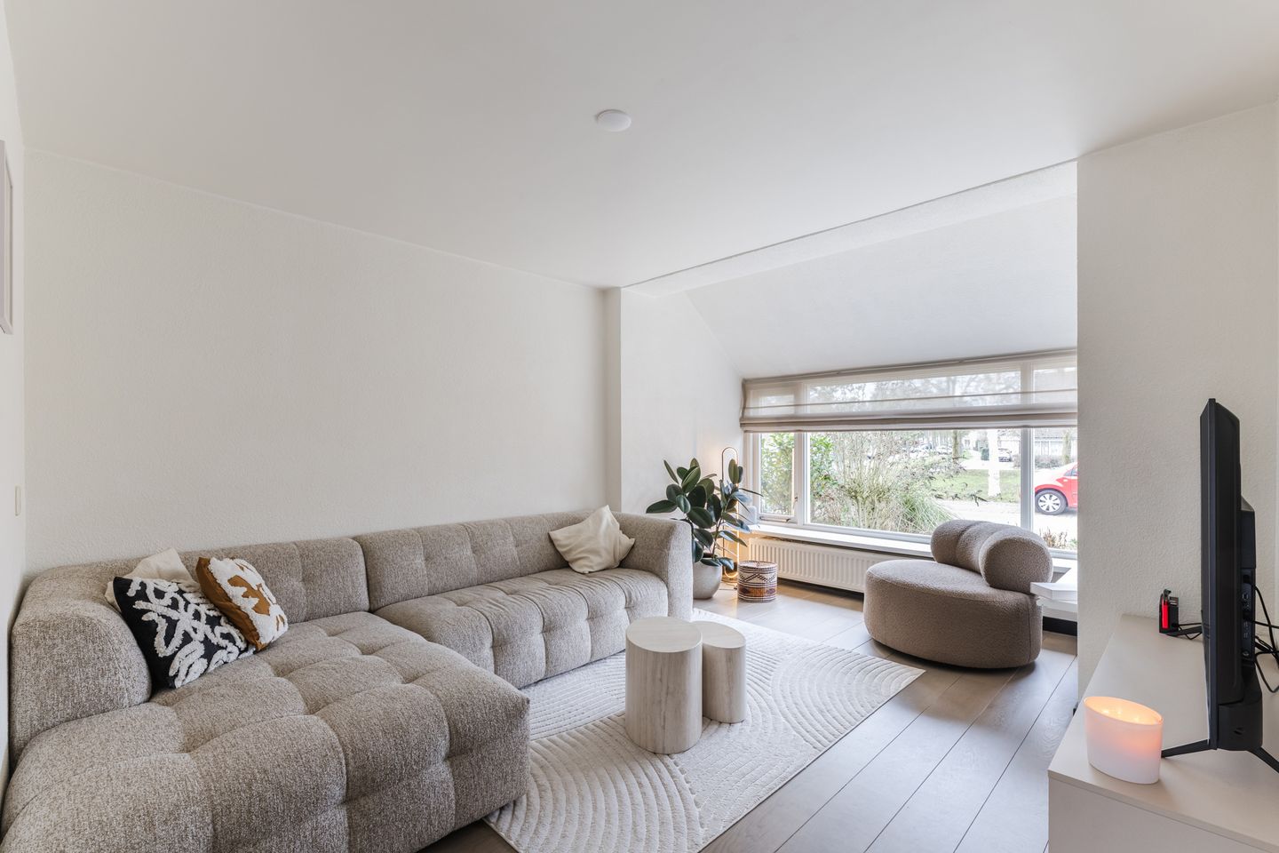 Foto 10 van Goudplevier 25