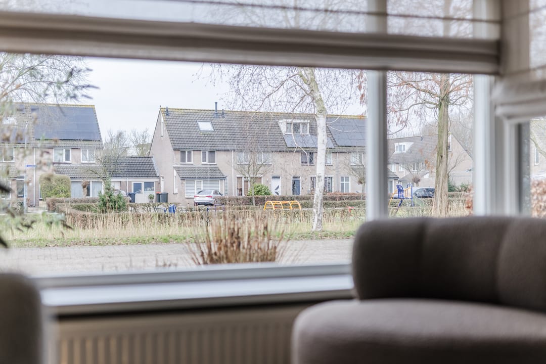 Foto 11 van Goudplevier 25