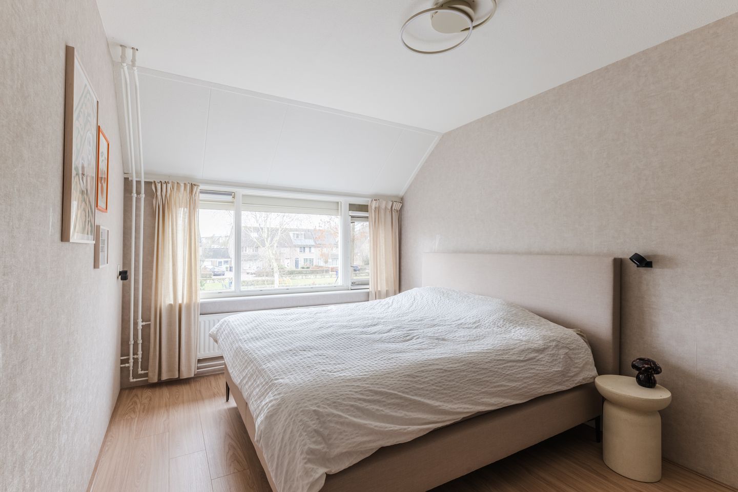 Foto 20 van Goudplevier 25