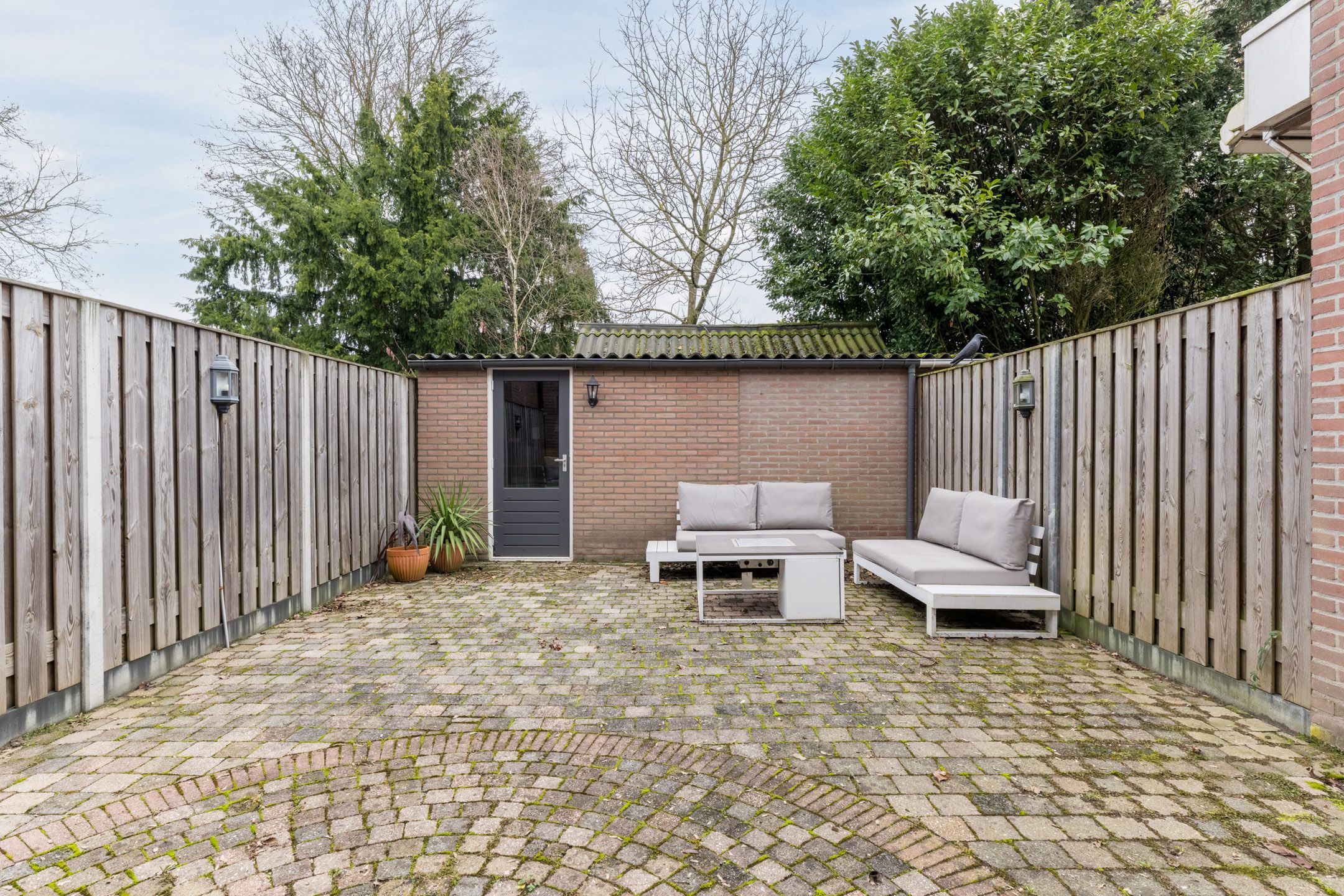 Foto 36 van Goudplevier 25