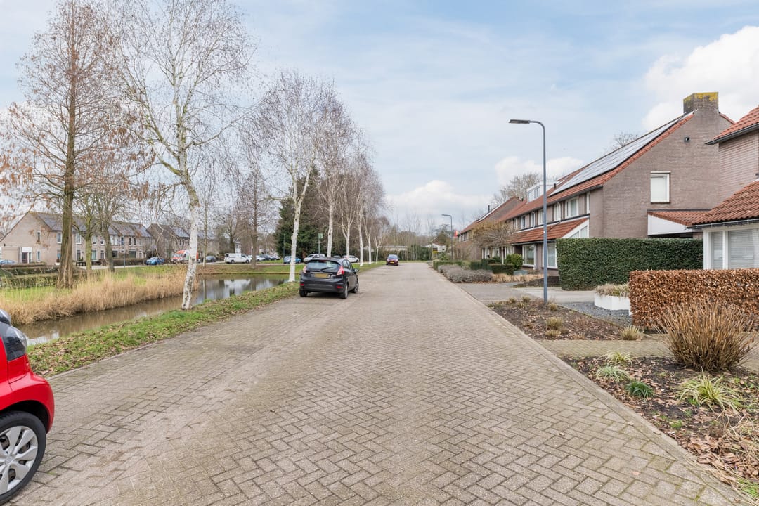 Foto 38 van Goudplevier 25