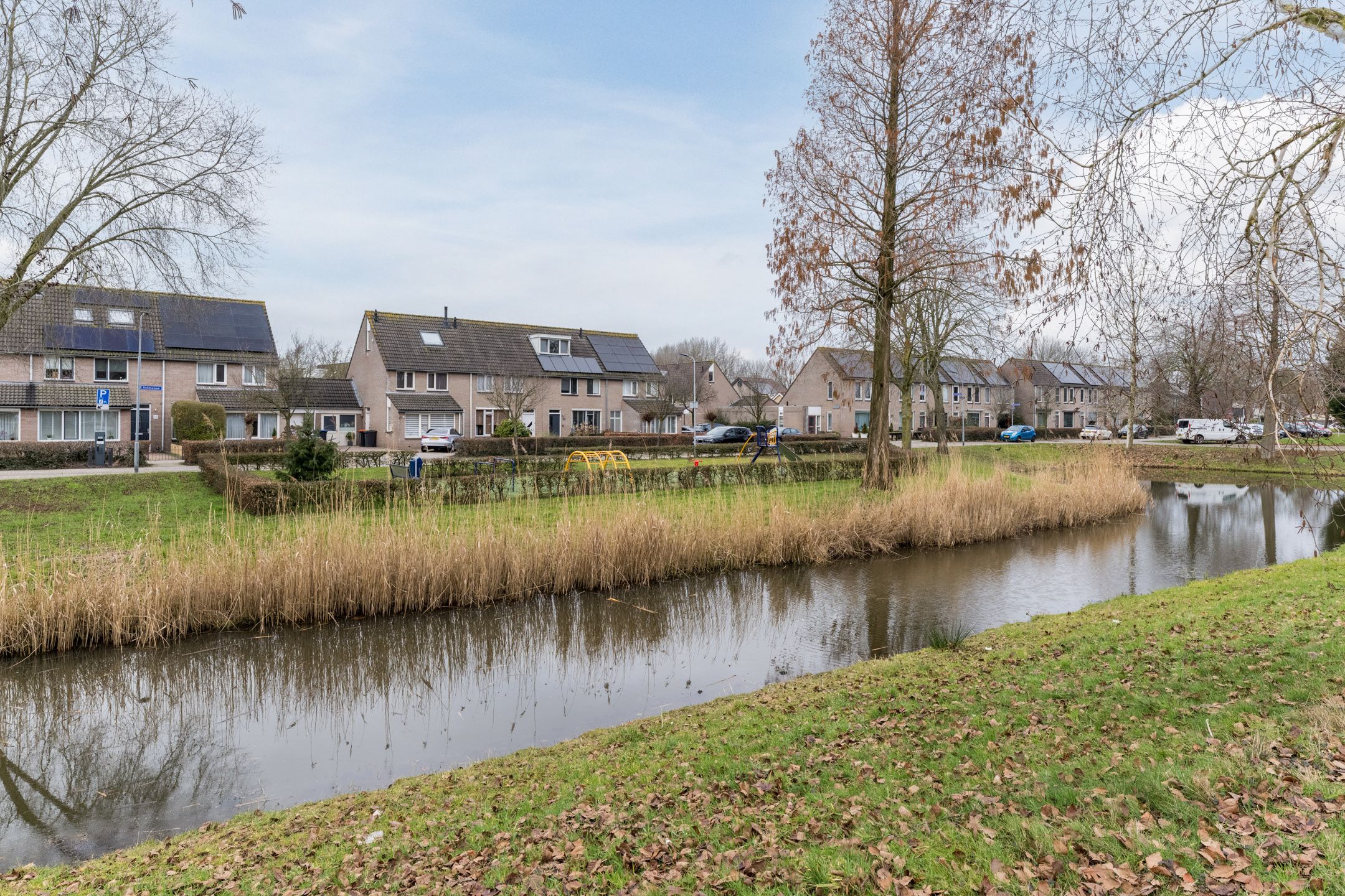 Foto 39 van Goudplevier 25