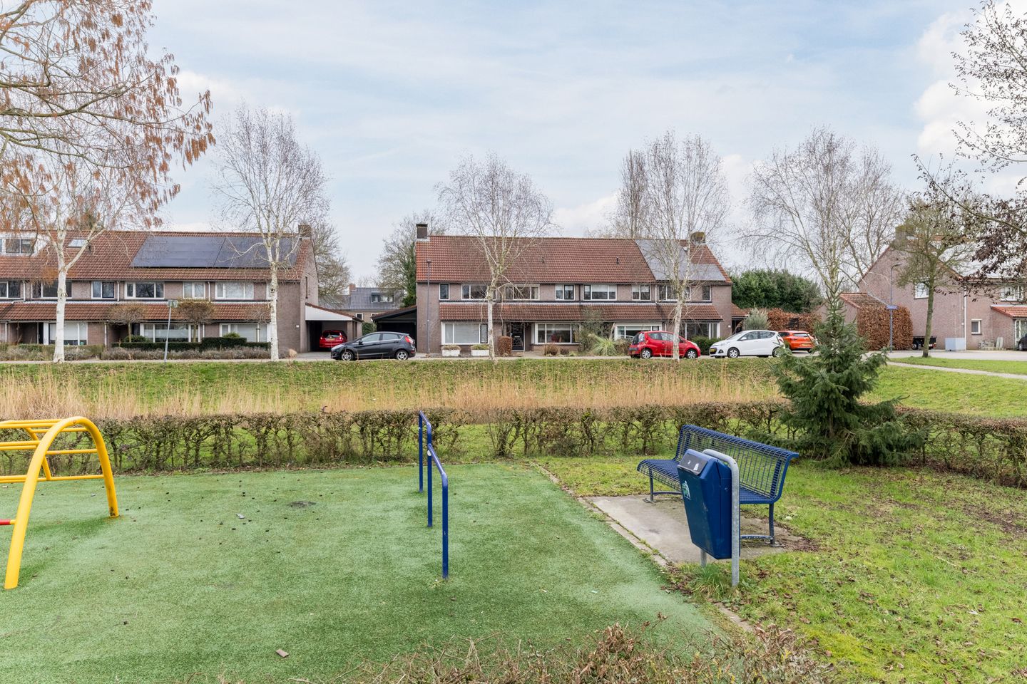 Foto 40 van Goudplevier 25