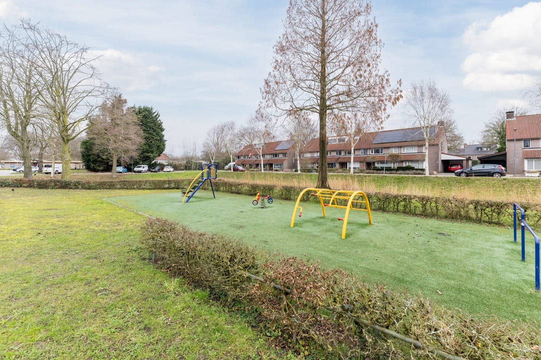 Foto 41 van Goudplevier 25