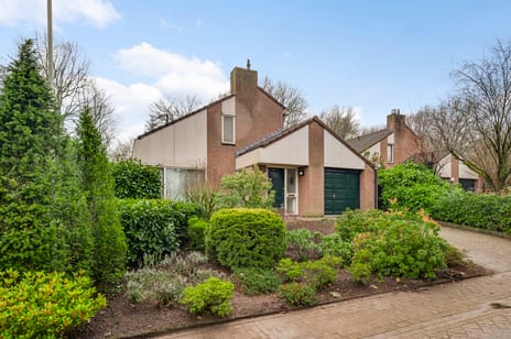 undefined main image