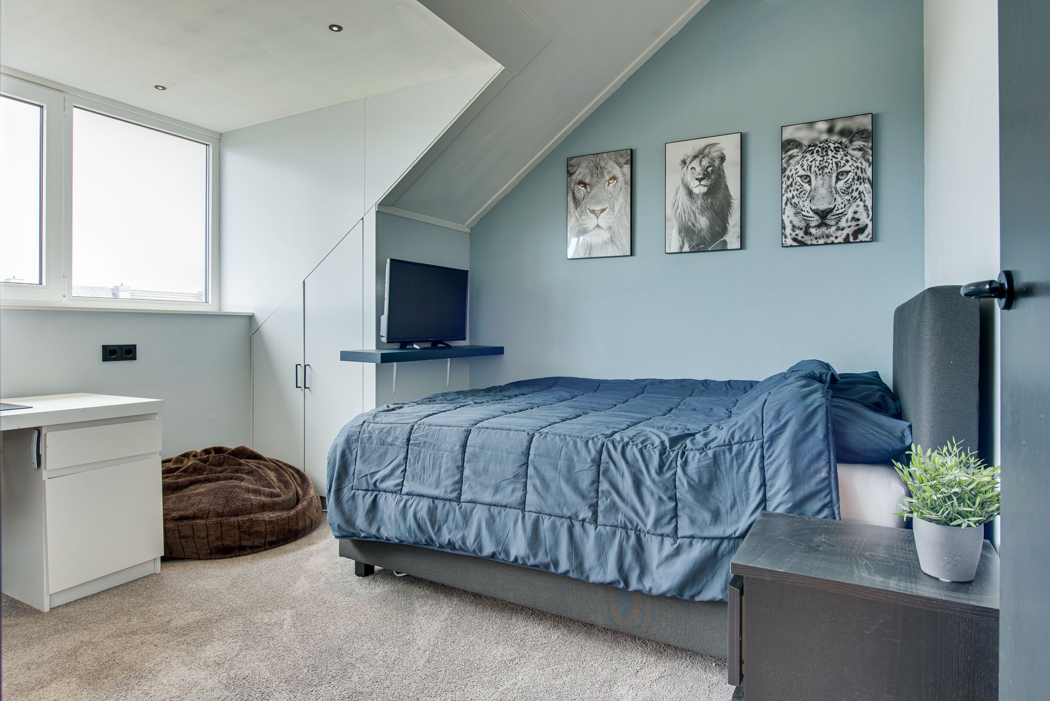 Photo 27 of Spade 19