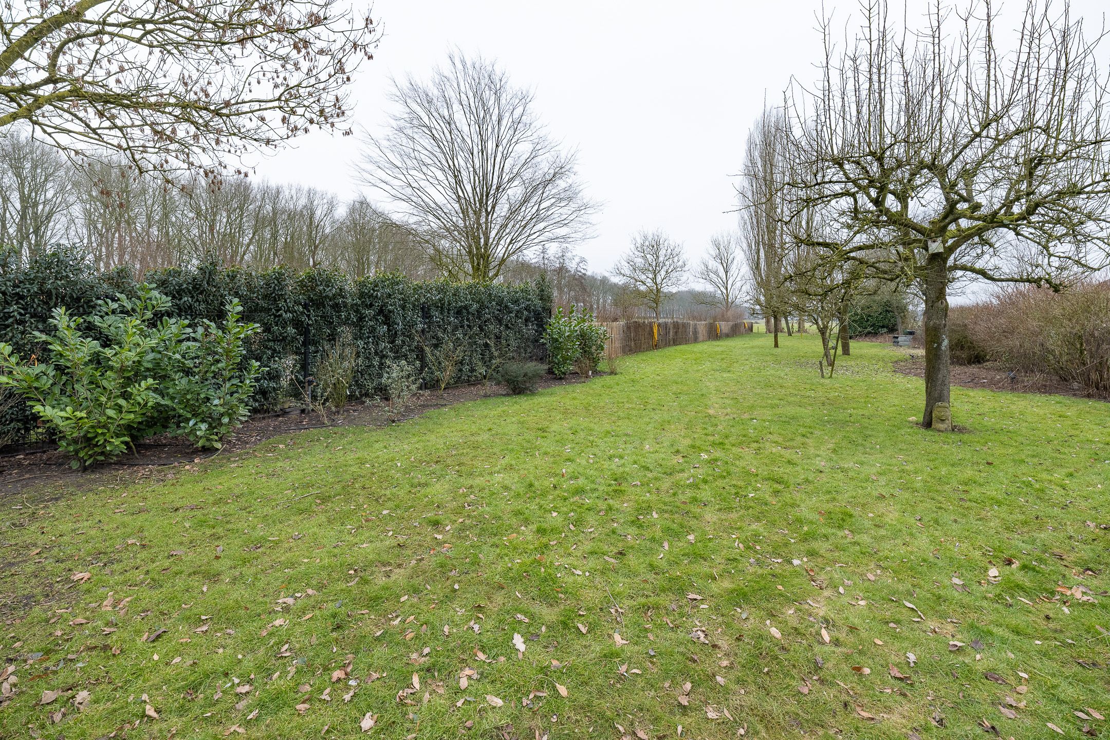 Foto 60 van Wakkerendijk 246