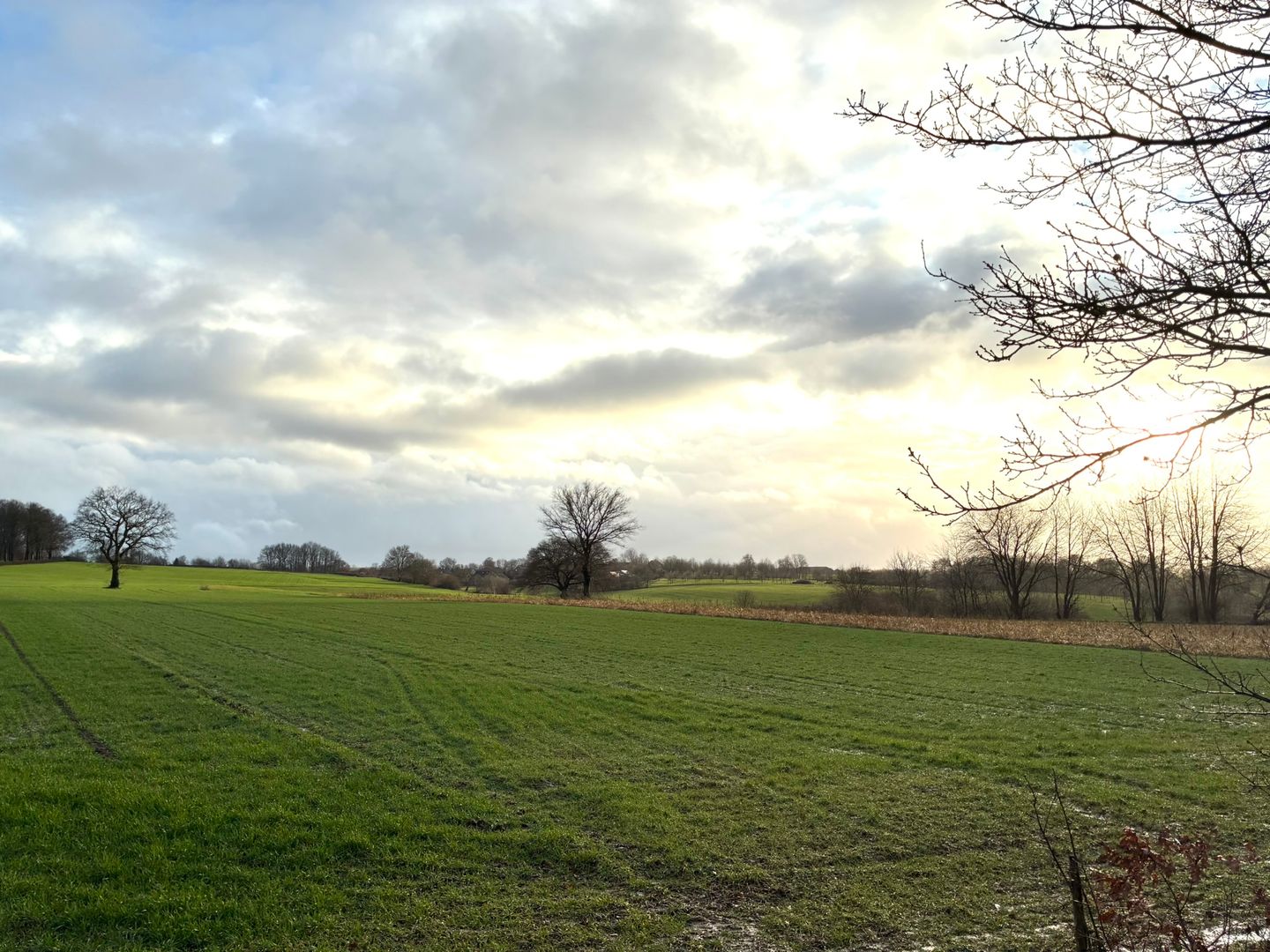 Bekijk foto 2 van Rijksweg