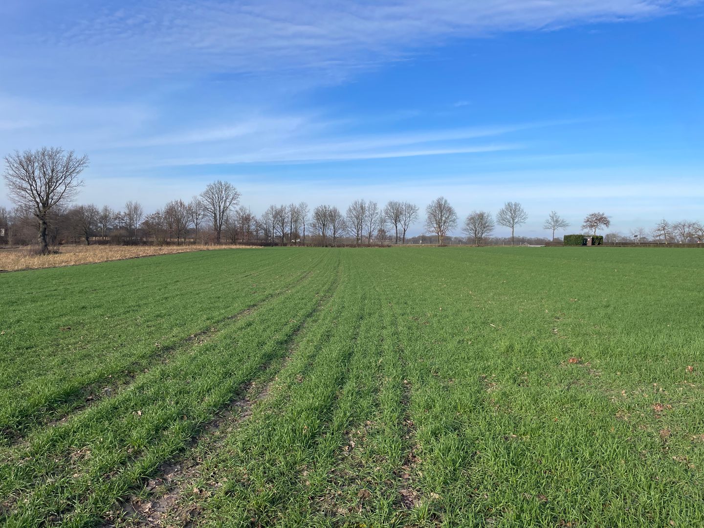 Bekijk foto 4 van Rijksweg