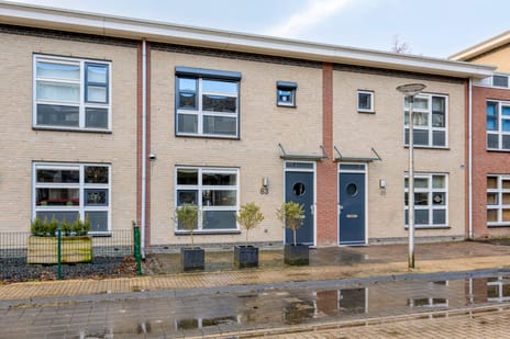 undefined main image