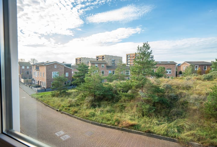 Foto 18 van Wondklaver 24