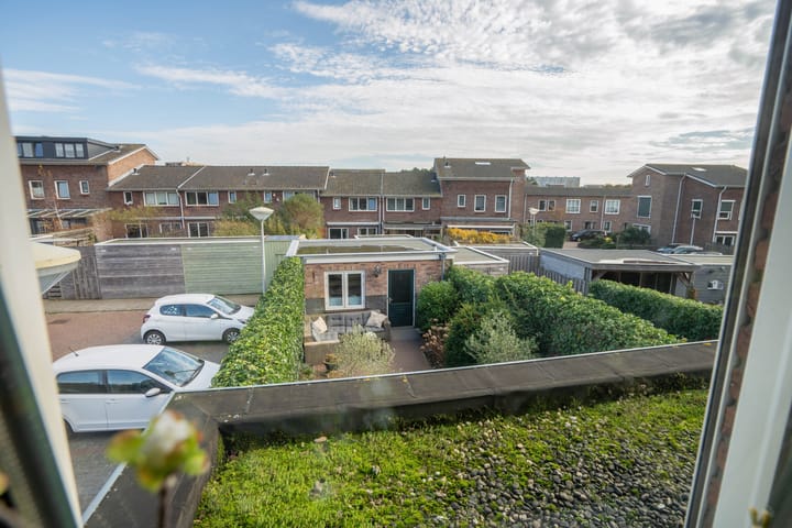 Foto 24 van Wondklaver 24