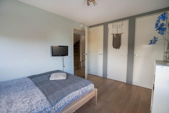 Foto 25 van Wondklaver 24