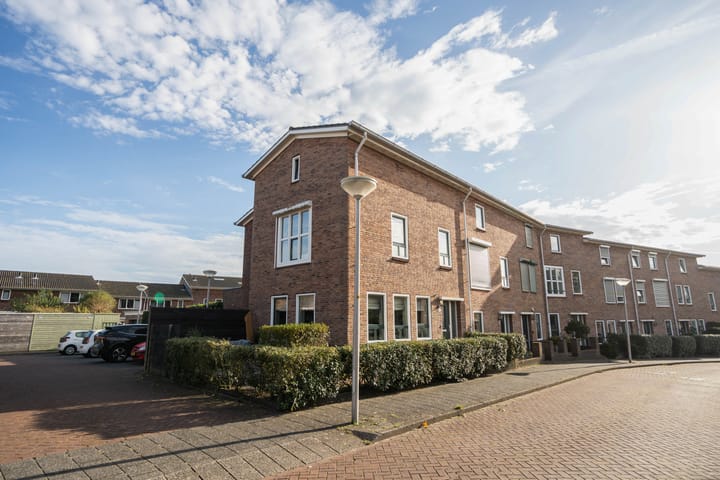 Foto 37 van Wondklaver 24