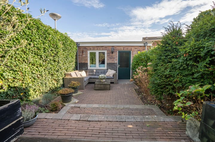 Foto 38 van Wondklaver 24