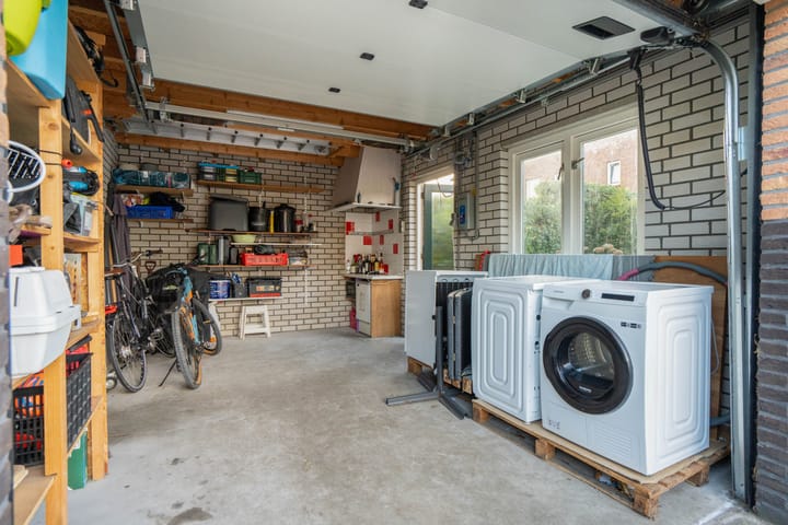 Foto 41 van Wondklaver 24