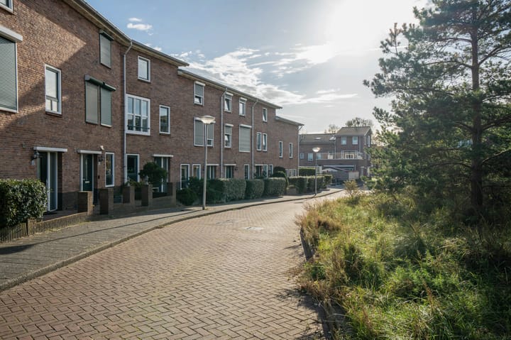 Foto 44 van Wondklaver 24