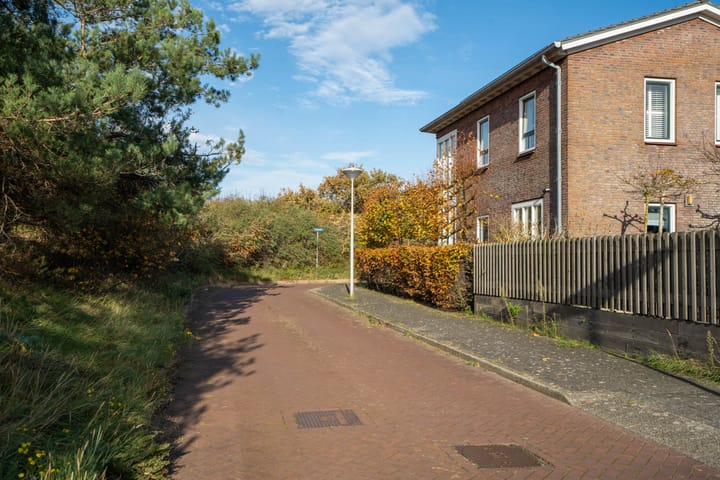 Foto 45 van Wondklaver 24