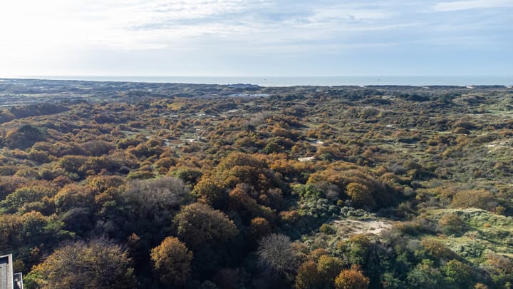 Foto 46 van Wondklaver 24