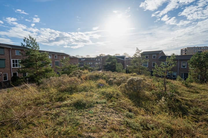 Foto 47 van Wondklaver 24