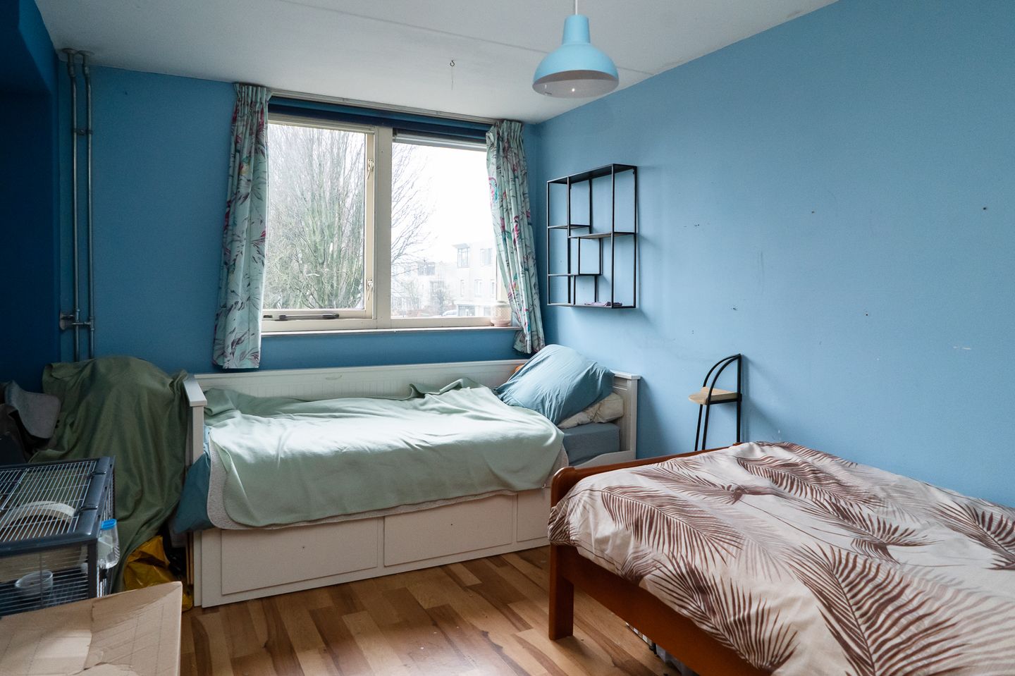 Photo 19 of Grasland 31