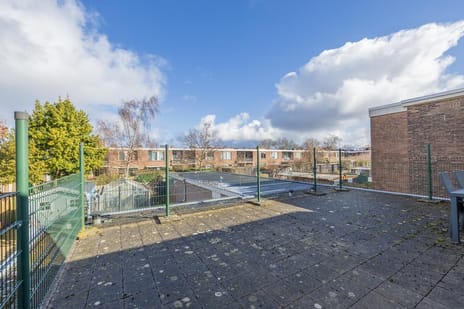 Pioenstraat 26-B secondary image