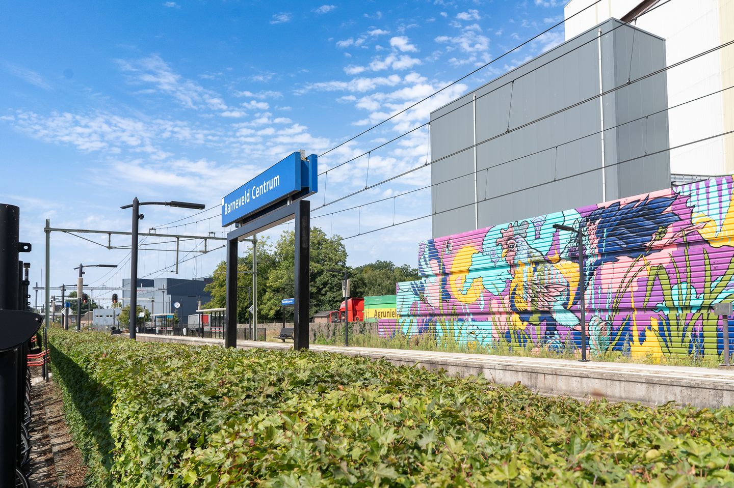 Photo 35 of Grasland 31