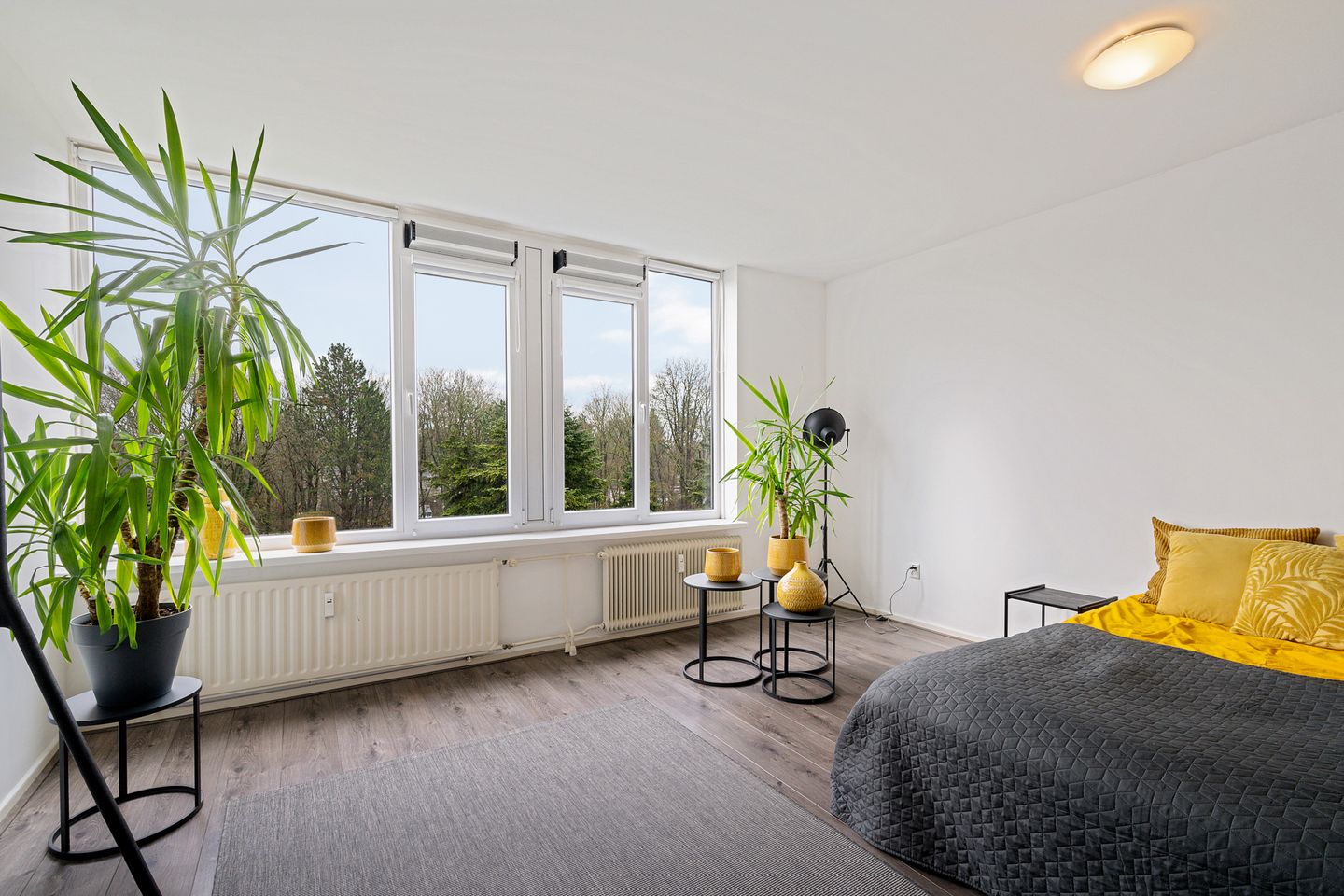 Foto 20 van Wilgenstraat 53