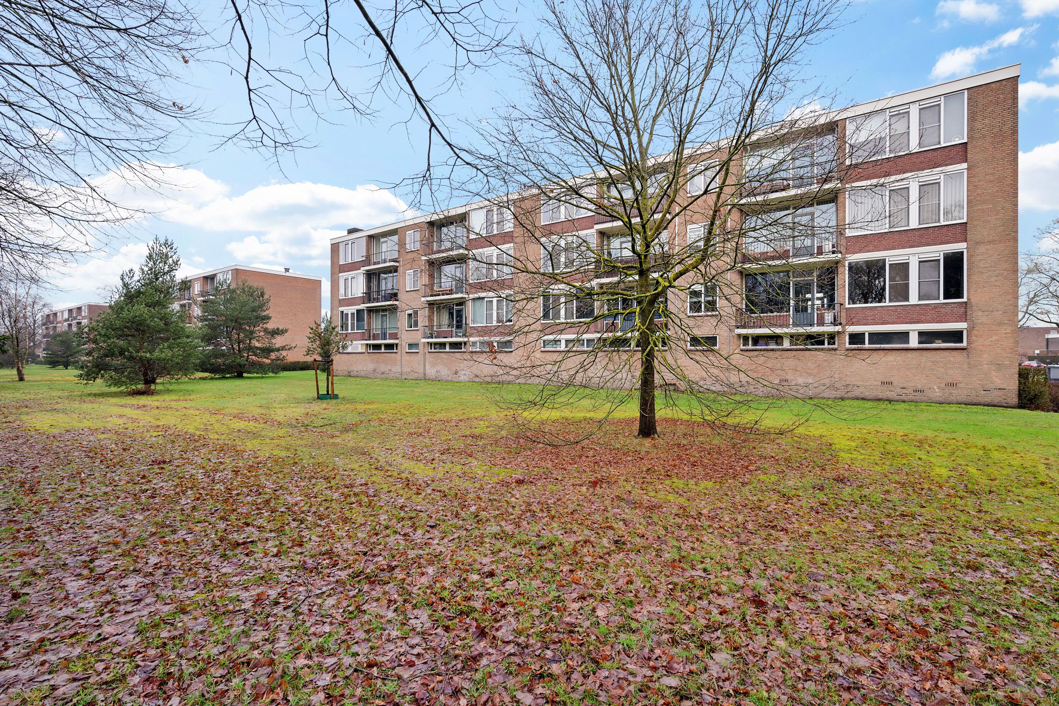 Foto 39 van Wilgenstraat 53