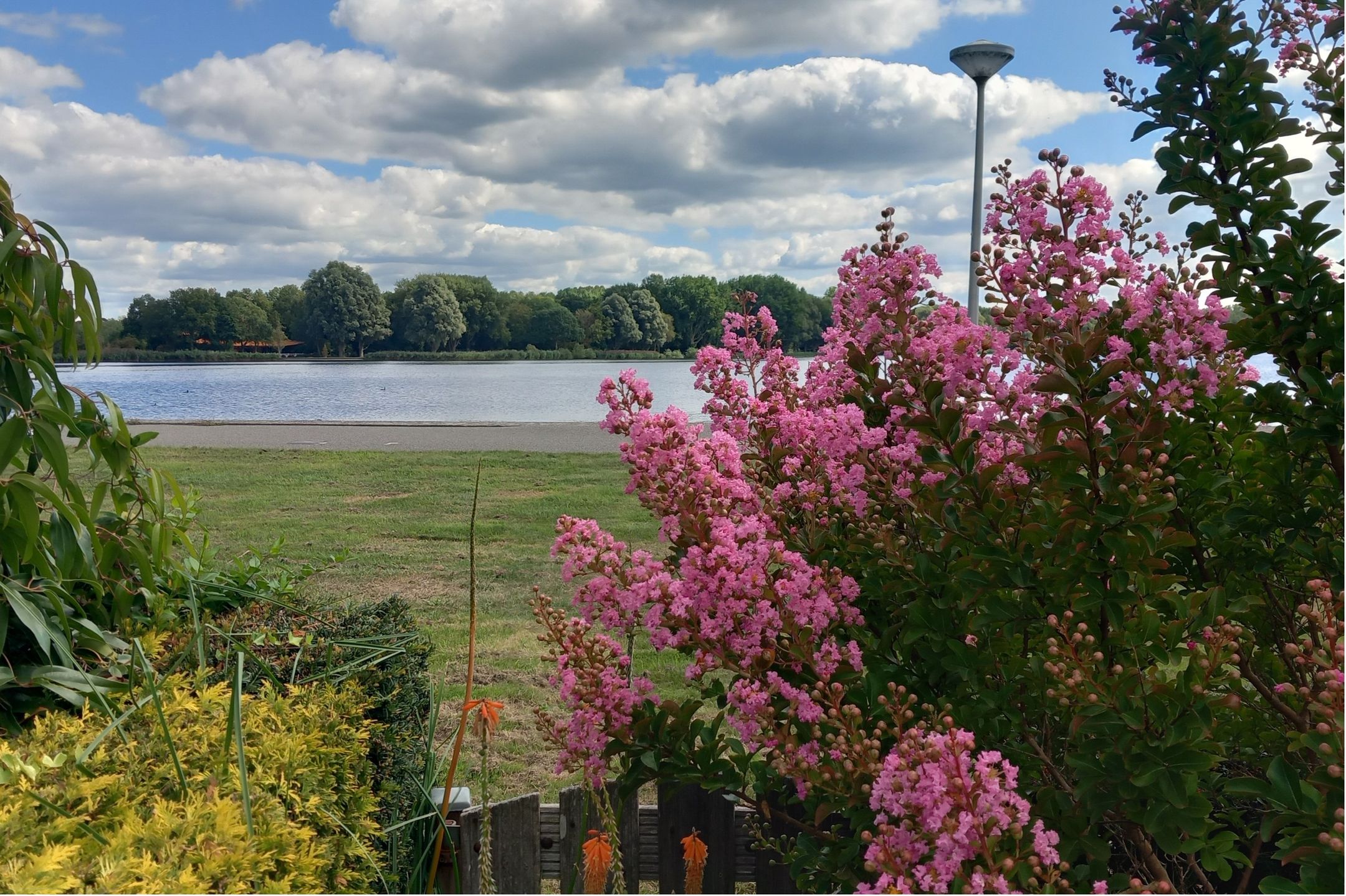 Foto 30 van Barnsteenstraat 31