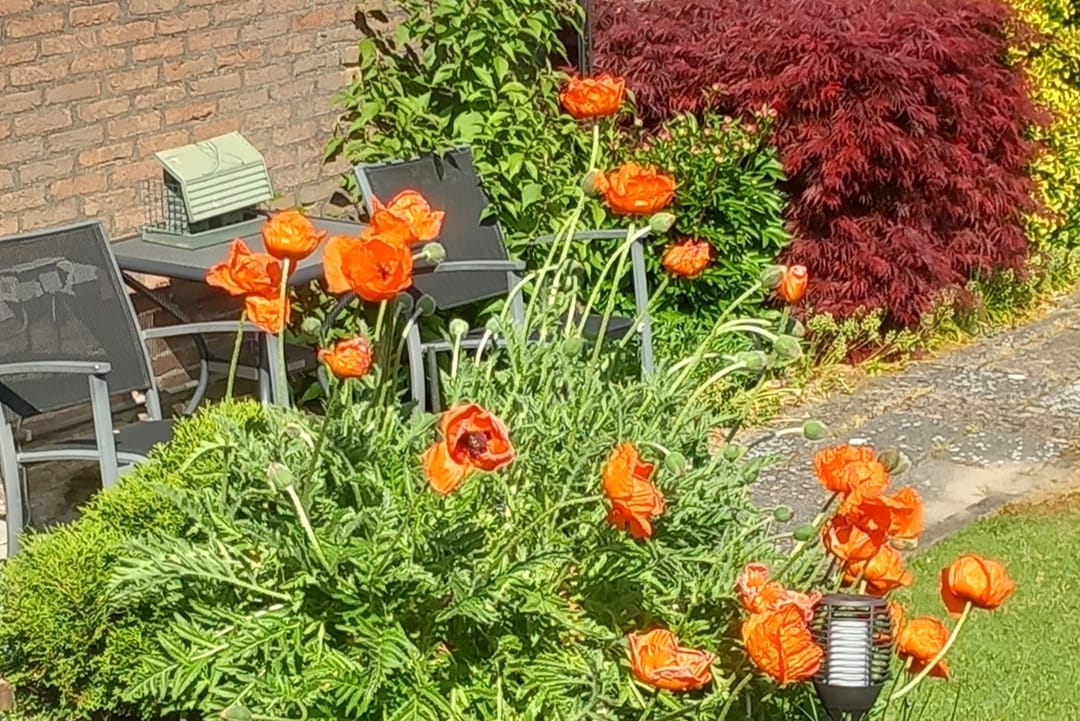 Foto 31 van Barnsteenstraat 31