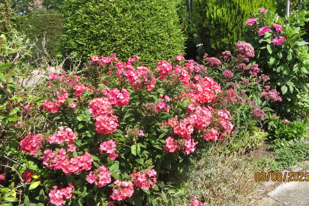 Foto 32 van Barnsteenstraat 31