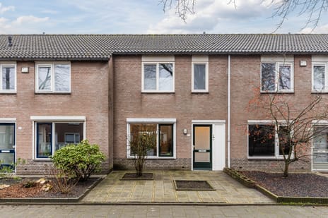 undefined main image