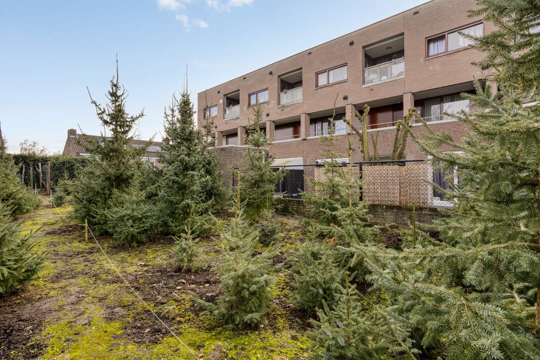 Foto 31 van Dorpstraat 107