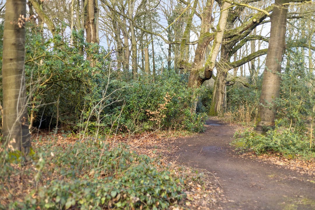 Foto 38 van Dokter Rupertlaan 78