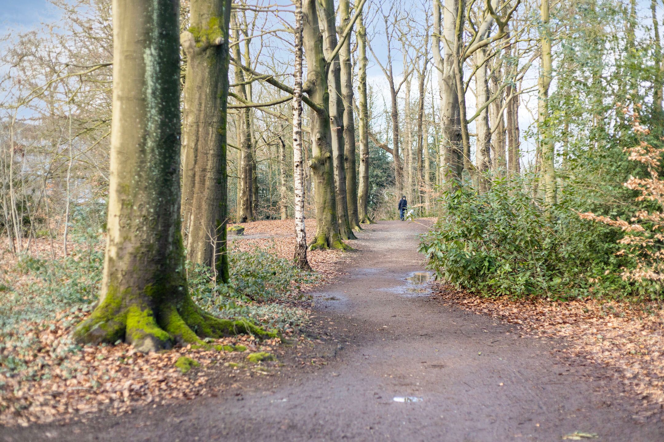 Foto 39 van Dokter Rupertlaan 78