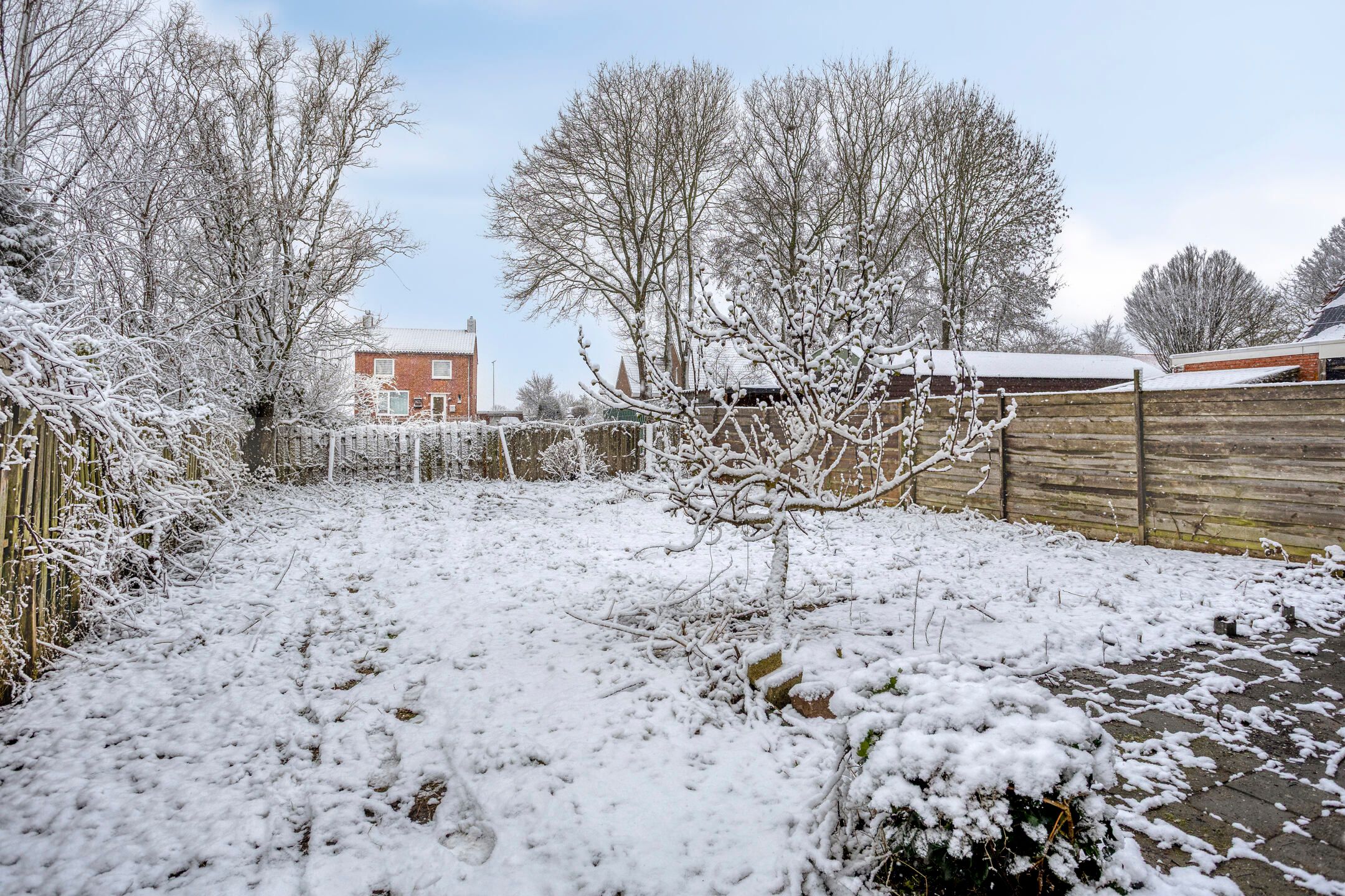 Photo 33 of Ds.B.J.Aderstraat 15