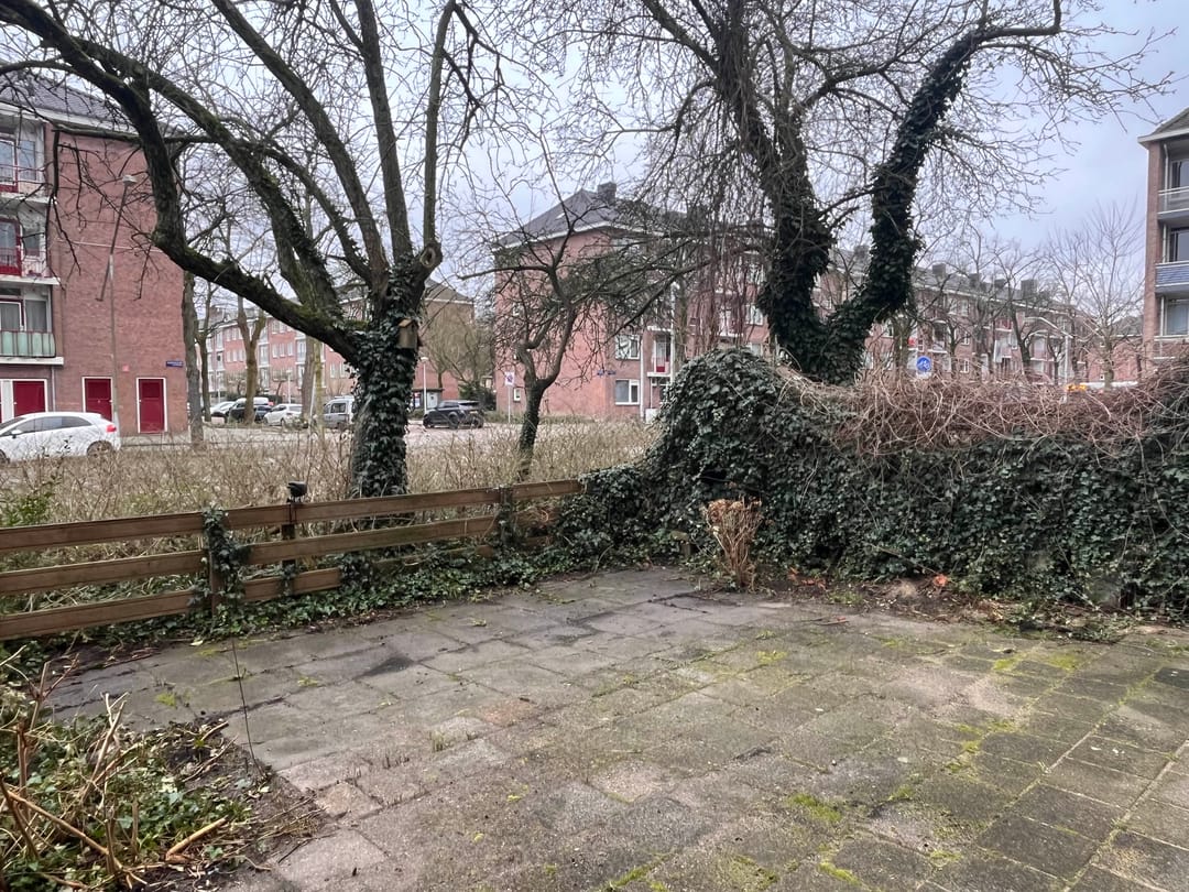 Foto 13 van Groetstraat 113