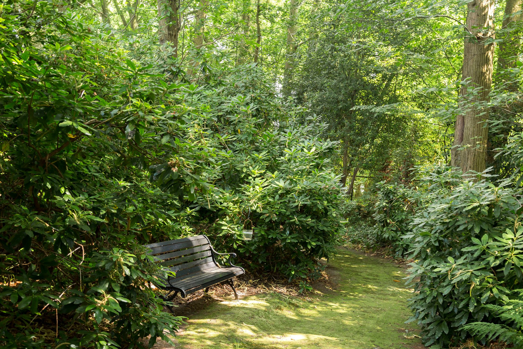 Photo 39 of Plantagebaan 221